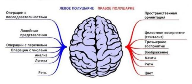 Гимнастика мозга. Что это такое?
