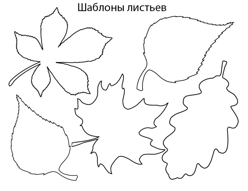 Осенние листья из бумаги - Творческие мастер-классы сайта Сама Я витамин-п-байкальский.рф - SciPeople